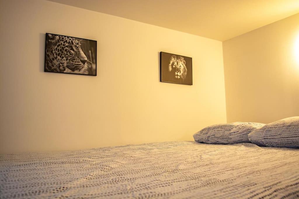 Le Lys En Soie - T2 Bis Apartment